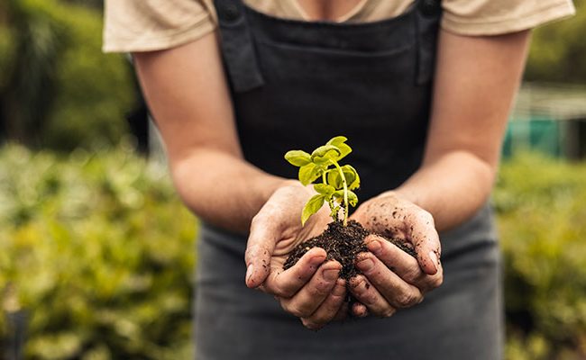 Sustainability-in-the-Service-Sector---Paving-the-Way-for-a-Greener-Tomorrow